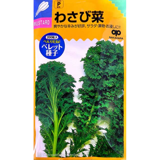 Hạt Giống Cải Mù Tạt Wasabi F1 Takii Hạt Bọc Men Nhập Khẩu Nguyên Gói Nhật Bản - Gói 200 Hạt - Nảy 99%