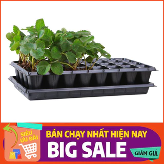 Khay ươm hạt giống cây trồng chuyên dụng, nhiều kích thước (siêu bền, đẹp, chắc chắn)