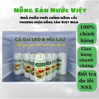 Trà Thảo Mộc Cà Gai Leo The Moshav Farm – Giải Độc Mát Gan, Thanh Lọc Cơ Thể