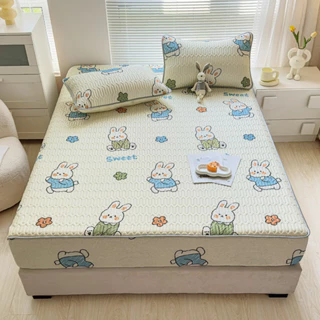 Chiếu điều hòa bo chun cao su non tencel latex cao cấp đủ size 1m6 1m8 và 2M2 -SamSambedding