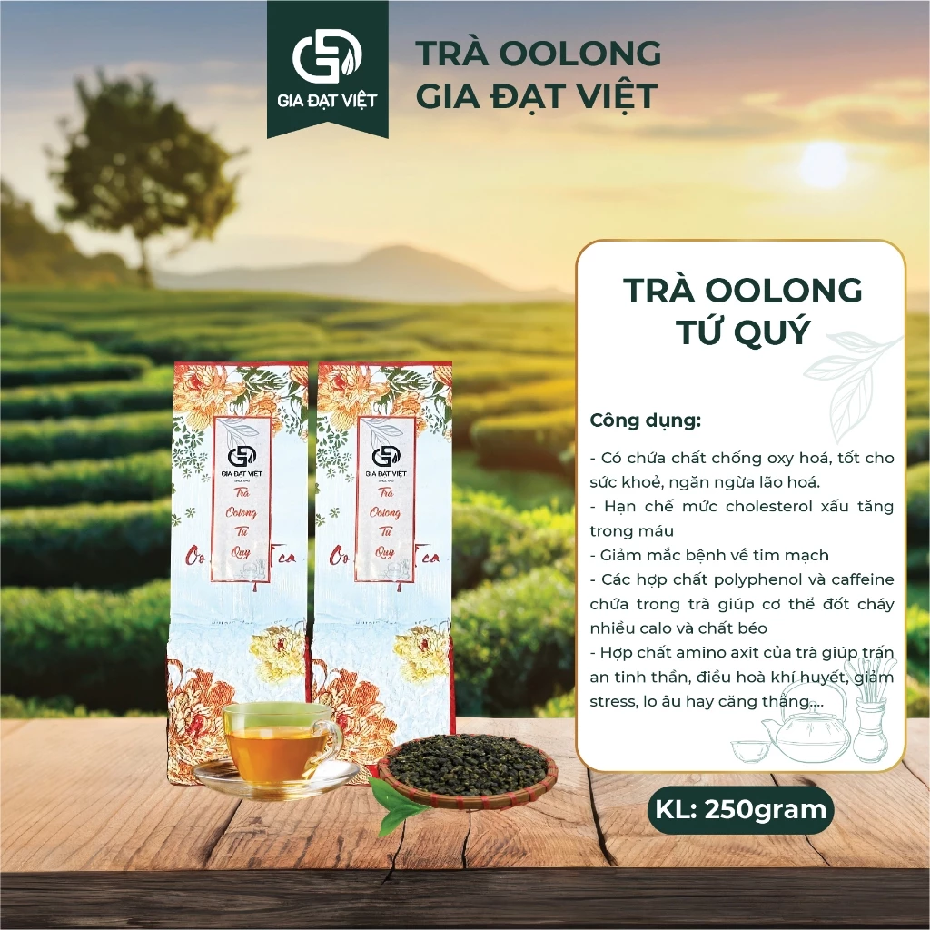 Trà Ô Long (Oolong) Tứ Quý Gia Đạt Việt