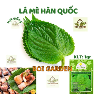 Hạt giống Lá Vừng / lá mè Hàn Quốc (137)