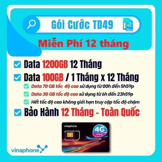 SIM VINA TD49 ( 100Gb/ tháng ) không cần nạp thẻ