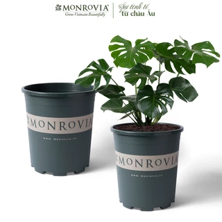 Chậu trồng cây MONROVIA 7 Gallon cây cảnh mini, trồng rau, hoa, để bàn, treo ban công, nhập khẩu Châu Âu