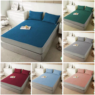 Chiếu điều hoà Cao Su Non Latex Tencel 1m, 1m2, 1m4, 1m6, 1m8, 2m2 TẶNG KÈM VỎ GỐI