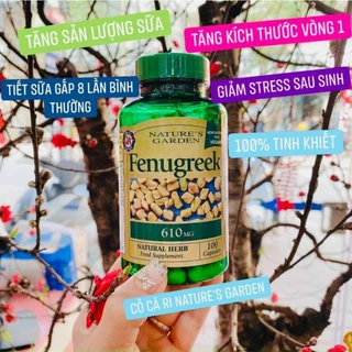 lợi sữa Fenugreek thông tắc tăng tiết sữa tăng cường đề kháng cho phụ nữ sau sinh