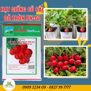 Hạt Giống Củ cải Đỏ Tròn Phú Nông hạt giống chắc khỏe, tỉ lệ nẩy mầm 98% (Vườn Sài Gòn - Vuon Sai Gon)