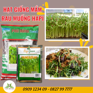Hạt giống mầm rau muống Phú Nông hạt giống chắc khỏe, tỉ lệ nẩy mầm 98% (Vườn Sài Gòn - Vuon Sai Gon)