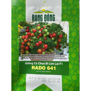 Hạt giống Cà Chua Bi Lùn Lai F1 Rado 641 (0,1g~30 hạt) trồng chậu, quanh năm, dễ chăm sóc - Hạt giống Rạng Đông