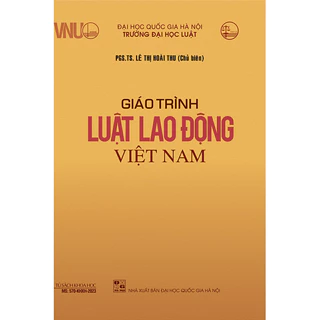 Giáo trình Luật Lao động Việt Nam