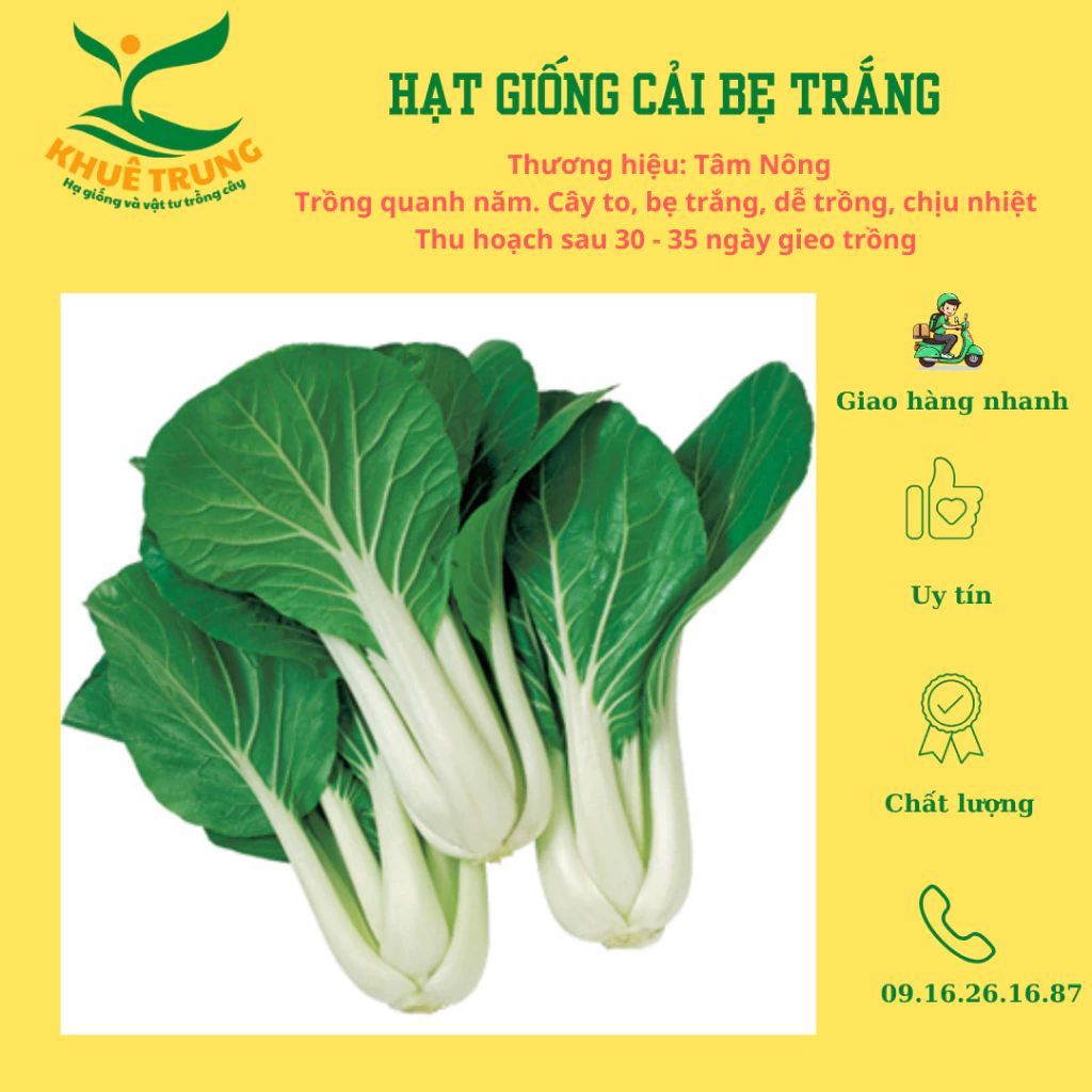 Hạt giống cải bẹ trắng Tâm Nông