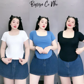 Áo thun bigsize nữ tay ngắn cổ tròn đuôi bầu croptop vải thun borip co giãn dành cho nàng mũm mĩm 58-95 kg A25