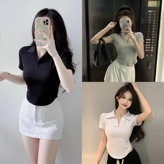 Áo Thun Cổ Bẻ Vạt Bầu Nữ, Áo Croptop Polo Trơn Cổ Bẻ Vải Thun Tăm Mềm Mịn Co Giãn Cực Xinh