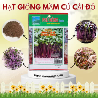 Hạt giống mầm củ cải đỏ Phú Nông hạt giống chắc khỏe, tỉ lệ nẩy mầm >95% (Vườn Sài Gòn - Vuon Sai Gon)