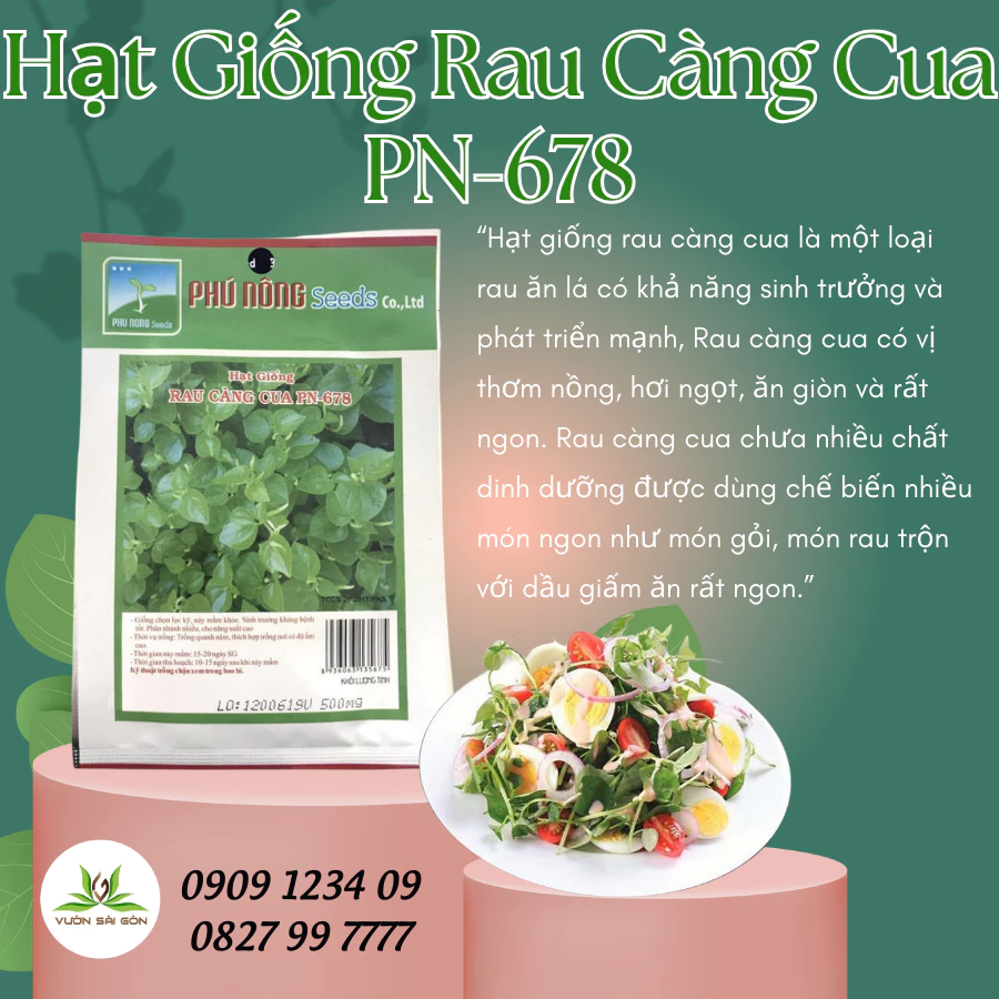 Hạt giống rau càng cua PN 5gr,hạt giống chắc khỏe, tỉ lệ nẩy mầm cao (Green City)