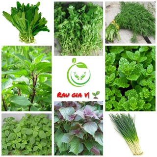 Hạt giống rau gia vị, rau thơm các loại (hành lá/tía tô/kinh giới/ thì là/ ngò ri/mùi tàu/húng quế/húng lủi)