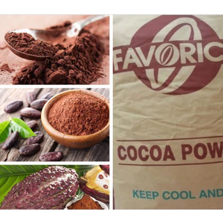 Bột Cacao Favorich Malaysia GP390 500g