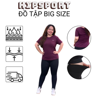 (Có Bigsize 100kg)Set dài tập gym yoga bigsize áo thun ngắn tay quần dài thun lạnh co dãn thoáng mát