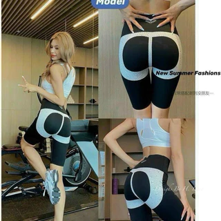 QUẦN LEGGING NGỐ HỘP VÀNG