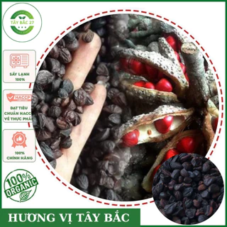 100g Hạt Dổi Rừng (Hạt Dổi Nếp) ướp thịt nướng, pha đồ chấm, gia vị ẩm thực nổi tiếng Tây Bắc