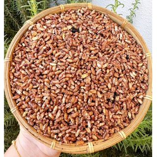 Gạo Lứt Rong Biển | 300-500gr | Đặc sản Đà Lạt