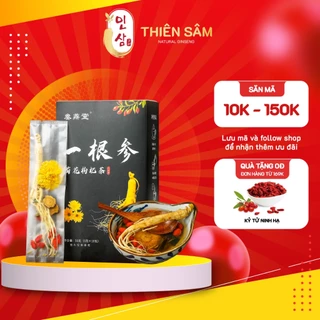 Trà Nhân Sâm Tứ Quý - Trà Sâm Ký Hải Đường Kết Hợp 4 Nguyên Liệu Tốt Sức Khỏe - Trà Thảo Mộc Dùng Hằng Ngày - Thiên Sâm