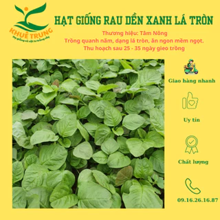 Hạt giống rau dền xanh lá tròn Tâm Nông