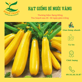 Hạt giống bí ngòi vàng Rạng Đông 1gam