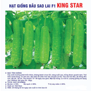 Hạt giống Bầu sao lai F1 Kingstar