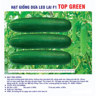 Hạt giống dưa leo lai F1 Top green