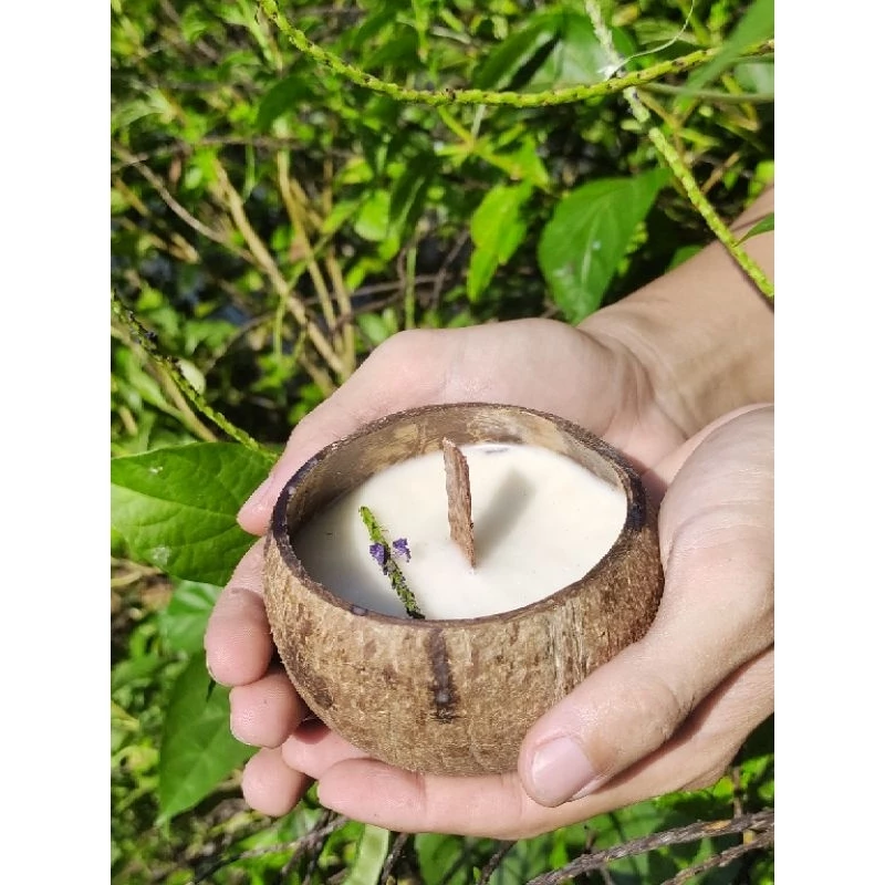 (Giá xưởng) NẾN THƠM GÁO DỪA| COCONUT CANDLES