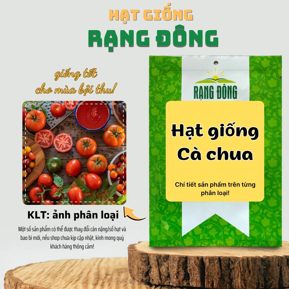 Hạt giống Cà Chua nảy mầm tốt,sinh trưởng khỏe,nhanh thu hoạch,trồng quanh năm - Hạt giống Rạng Đông