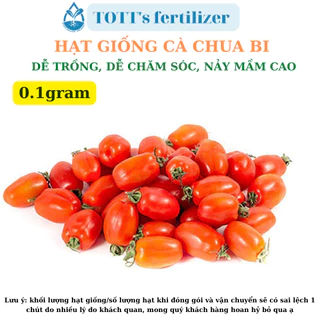 Hạt Giống cà chua Bi, cà chua baby khối lượng 0.1gr dễ trồng TOTT's fertilizer