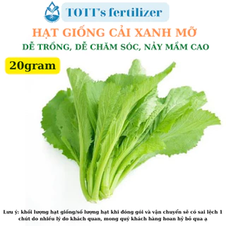 Hạt Giống cải xanh mỡ khối lượng 20gr dễ trồng TOTT's fertilizer