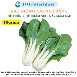 Hạt Giống Cải Bẹ Trắng khối lượng 10gr dễ trồng TOTT's fertilizer