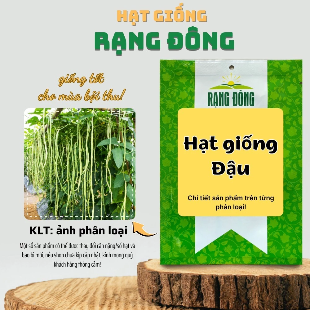 Hạt giống Đậu nảy mầm tốt, thân lùn và dây leo,có thể trồng chậu hoặc làm giàn - Hạt giống Rạng Đông