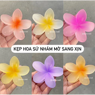 (HÀNG CÓ SẴN) Kẹp hoa sứ hot hit màu nhám mờ pastel xinh xắn kep hoa su hot trend