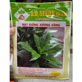 Hạt giống xương sông gói 0,5 gram