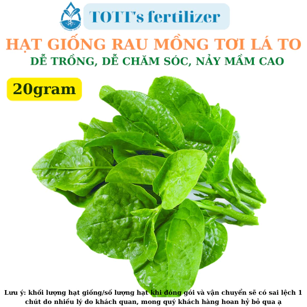 Hạt giống Mồng tơi lá to gói 20gr dễ trồng TOTT's fertilizer