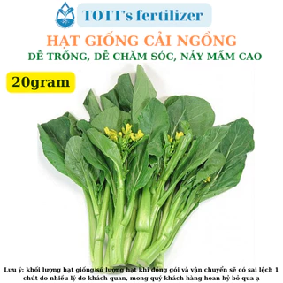 Hạt Giống cải ngồng khối lượng 20gr, dễ trồng dễ nảy mầm TOTT's fertilizer