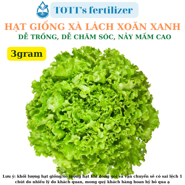 Hạt gióng Xà lách xoăn xanh khối lượng 3gr dễ trồng TOTT's fertilizer