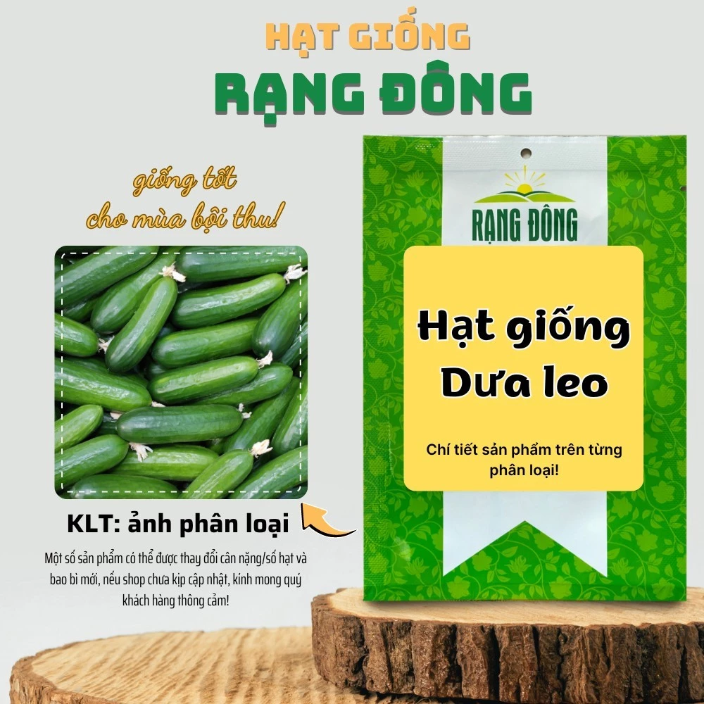 Hạt giống Dưa Leo nảy mầm tốt, sinh trưởng khỏe, trái sai, trồng quanh năm - Hạt giống Rạng Đông