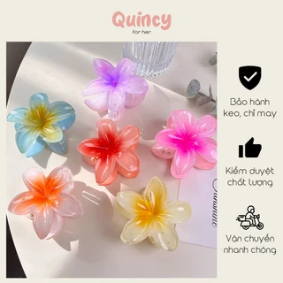 [Sẵn] Kẹp tóc hoa sứ nhựa acrylic cao cấp 8cm nhiều màu ombre