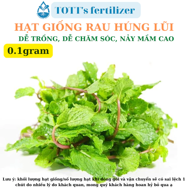 Hạt Giống húng lũi khối lượng 0.1gr dễ trồng dễ nảy mầm TOTT's fertilizer