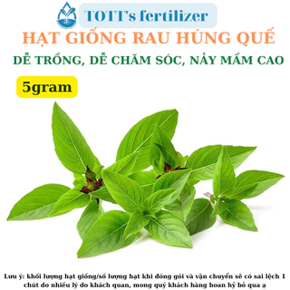 Rau Húng quế khối lượng 5gr dễ trồng, dễ nảy mầm TOTT's fertilizer