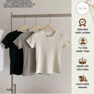 Áo Phông Trơn Cộc Tay Hàn Quốc Cổ Tròn Form Vừa, Áo Thun Nữ Tay Ngắn Cotton Chất Vải Đẹp Hàng QCCC WG.WE - Célaa Studio