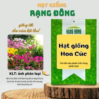 Hạt giống Hoa Cúc nhiều loại, nhiều màu, thích hợp trồng chậu hoặc sân vườn - Hạt giống Rạng Đông