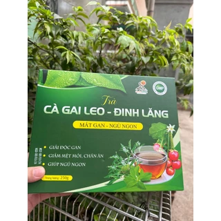 [Combo 02 hộp/500g] Trà túi lọc cà gai leo, đinh lăng, giải độc gan, an thần, ngủ ngon, giảm mỡ máu