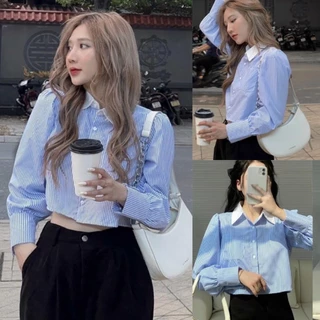 Áo sơ mi kiểu nữ áo sơ mi kẻ croptop cổ bẻ trắng tay bồng cá tính A693 LOZADO