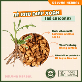 Chicory Root Rễ Rau Diếp Xoăn thượng hạng | nguyên liệu làm Cafe Chicory, không Caffeine, giàu Prebiotics Deluna Herbal